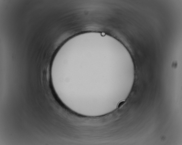 X0000101120011200807172011