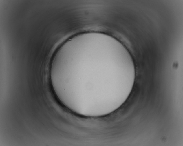 X0000101120012200807172011