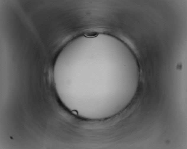 X0000101120013200807172011