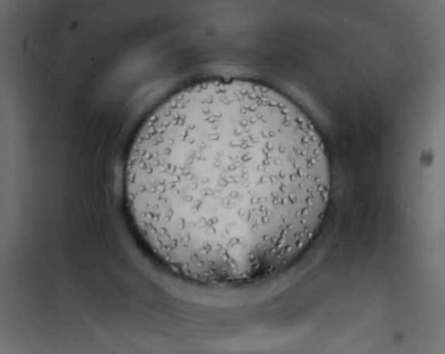 X0000101120014200807172011