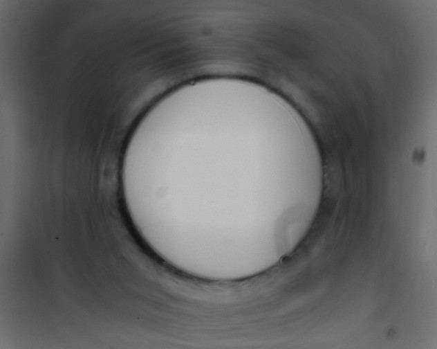 X0000101120015200807172011