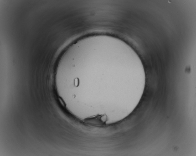 X0000101120016200807172011