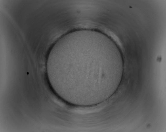 X0000101120017200807172011