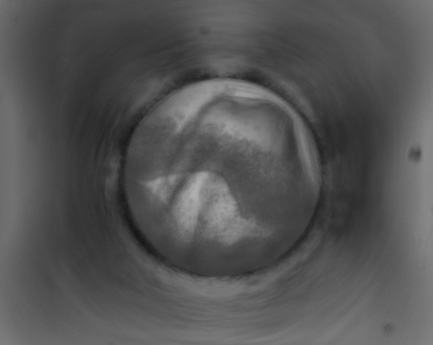 X0000101120018200807172010