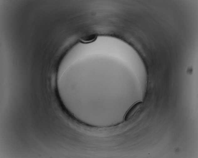X0000101120019200807172010