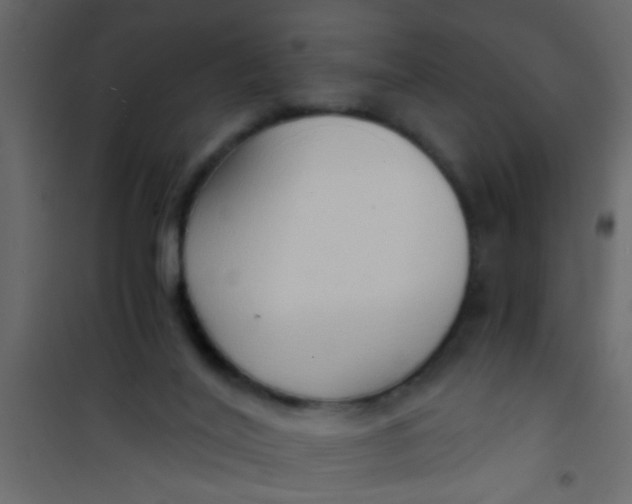 X0000101120020200807172010