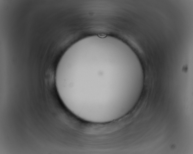 X0000101120021200807172010