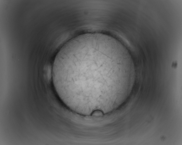 X0000101120022200807172010
