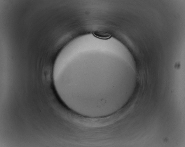 X0000101120023200807172010