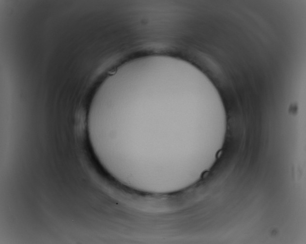 X0000101120024200807172010
