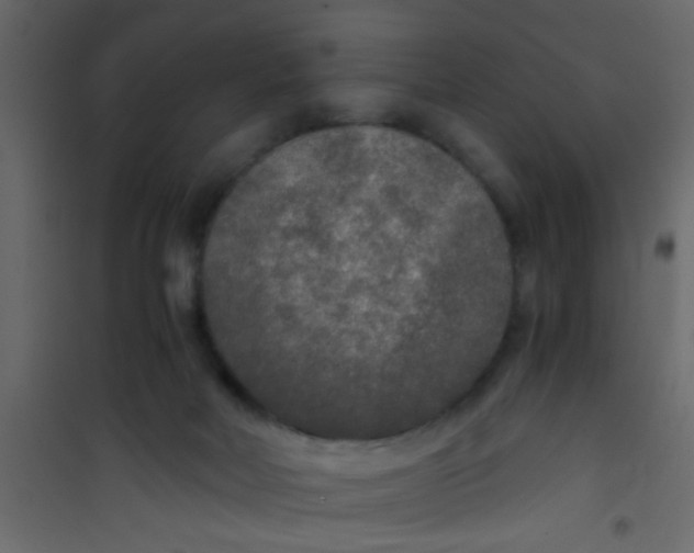 X0000101120026200807172010