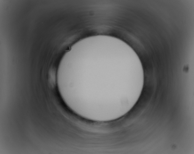 X0000101120028200807172010