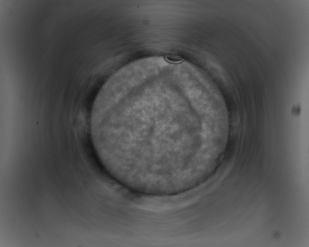 X0000101120029200807172010