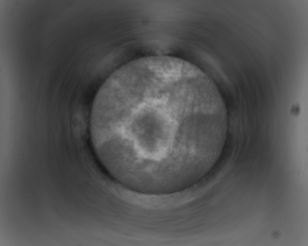 X0000101120030200807172010