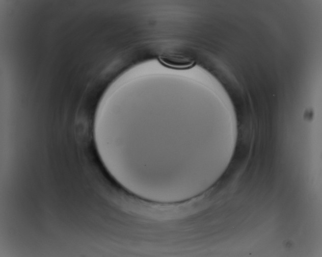 X0000101120031200807172010