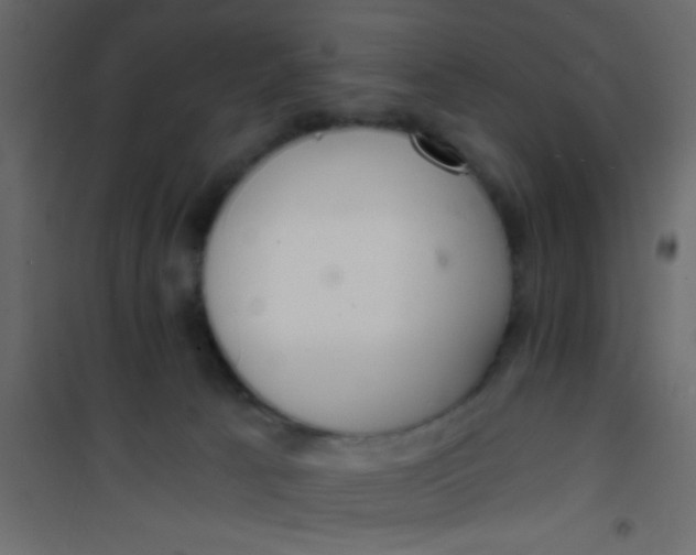 X0000101120033200807172010