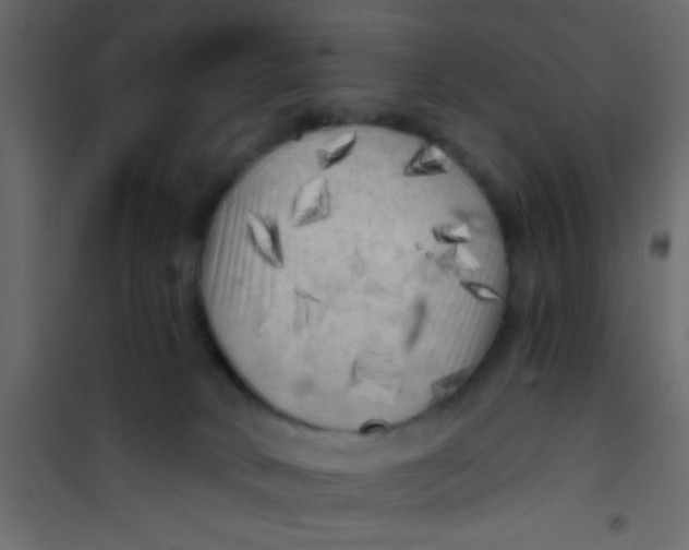 X0000101120034200807172010