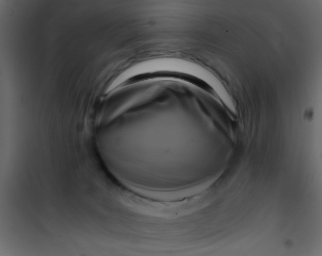 X0000101120035200807172010
