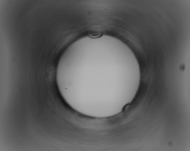 X0000101120036200807172010