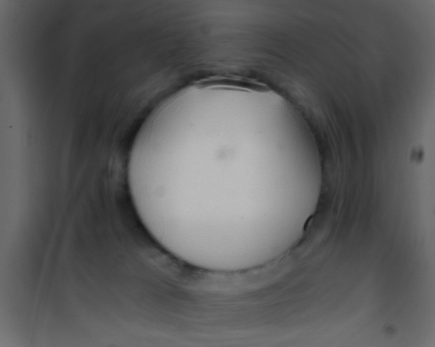 X0000101120037200807172010