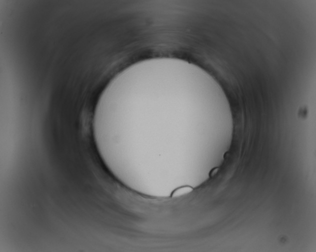 X0000101120038200807172010