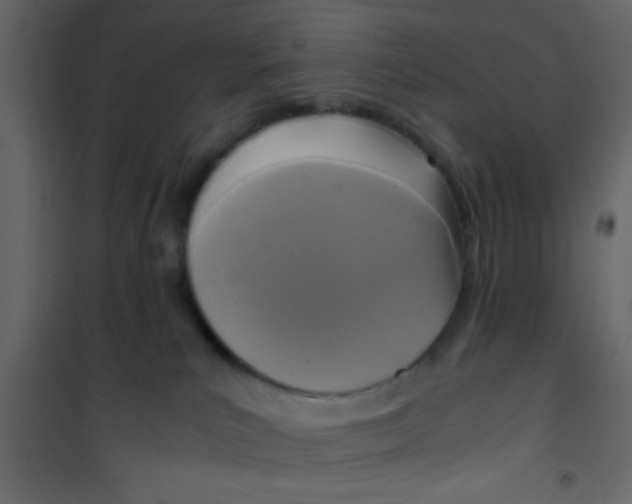 X0000101120039200807172010