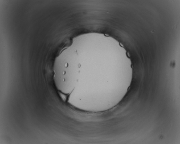 X0000101120040200807172010