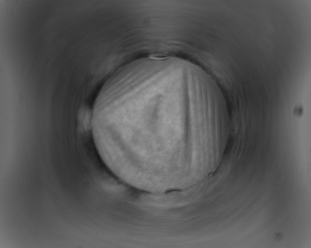 X0000101120041200807172010