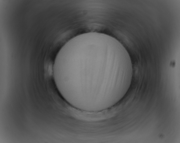 X0000101120042200807172010