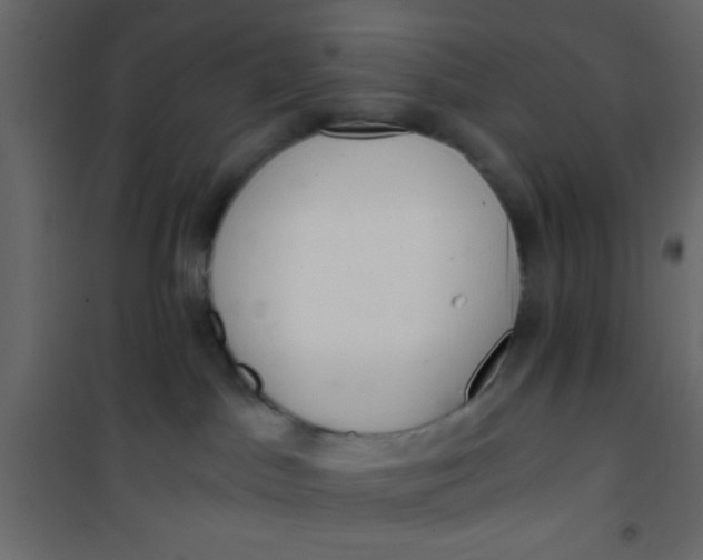 X0000101120045200807172010