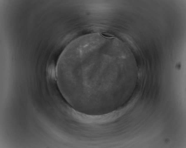 X0000101120046200807172010