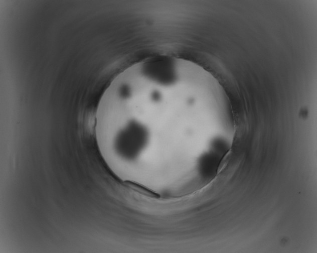 X0000101120047200807172010