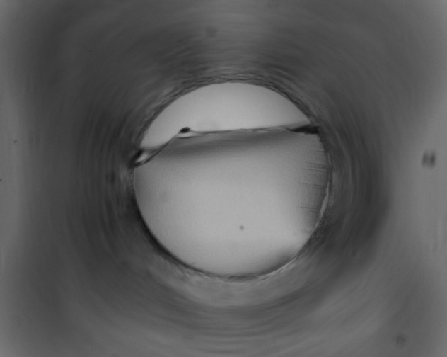 X0000101120048200807172010