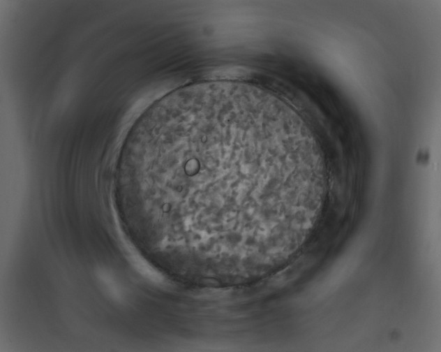 X0000101120049200807172009