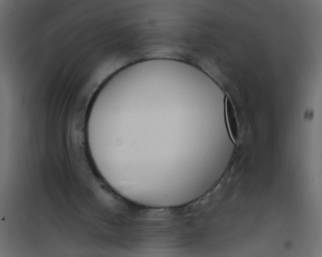 X0000101120050200807172009