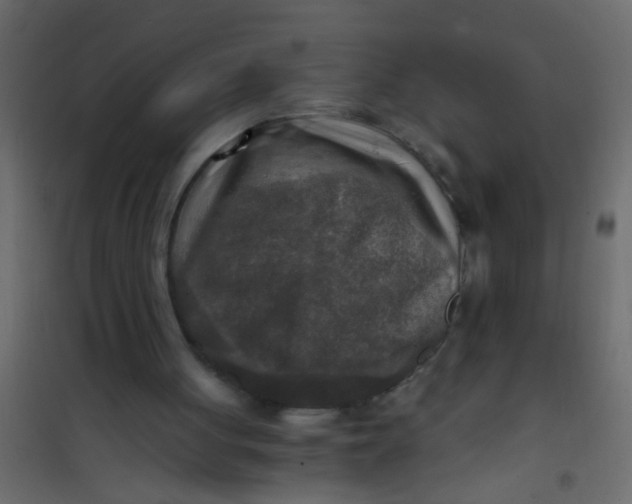 X0000101120051200807172009