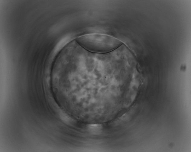 X0000101120053200807172009