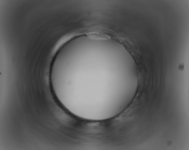 X0000101120054200807172009