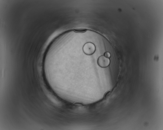 X0000101120056200807172009