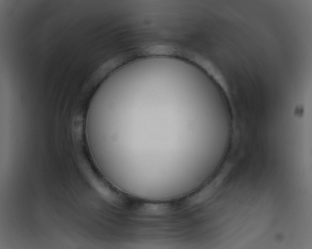 X0000101120057200807172009