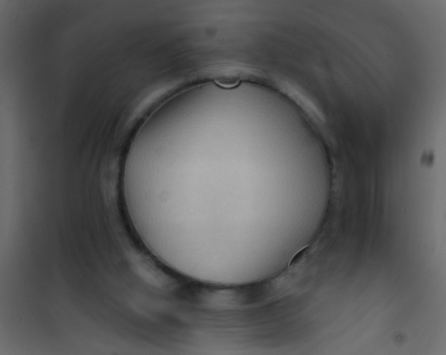 X0000101120058200807172009