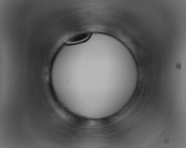 X0000101120060200807172009