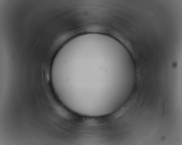 X0000101120062200807172009