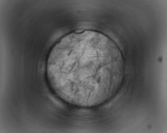 X0000101120063200807172009