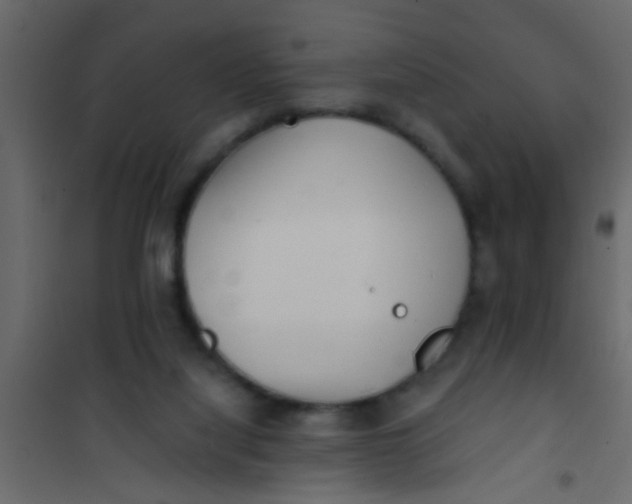 X0000101120068200807172010