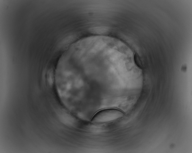 X0000101120069200807172010