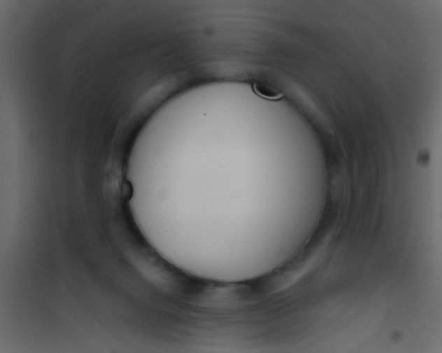 X0000101120072200807172010