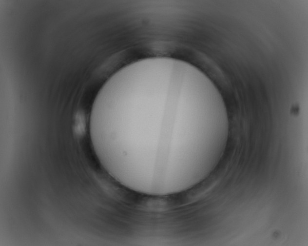 X0000101120075200807172010