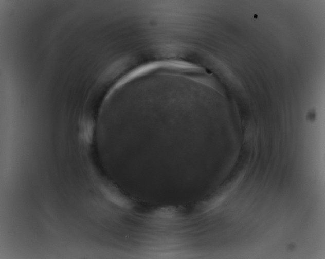 X0000101120076200807172010