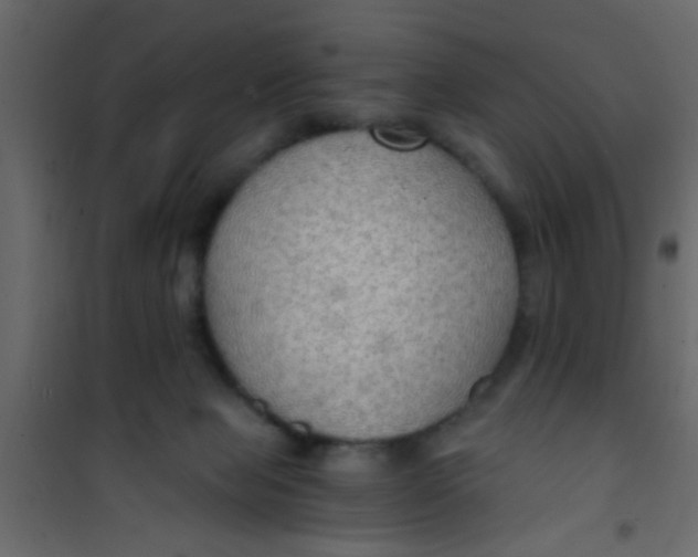 X0000101120077200807172010